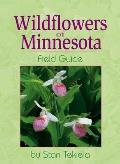 Wild Flowers Of Minnesota Field Guide