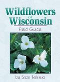 Wildflowers Of Wisconsin Field Guide