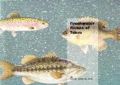 Freshwater Fishes Of Texas