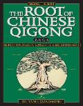 Root of Chinese Qigong Secrets of Health Longevity & Enlightenment