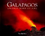 Galapagos Islands Born Of Fire