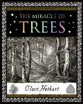 Miracle of Trees