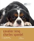 Cavalier King Charles