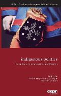 Indigenous Politics: Institutions, Representation, Mobilisation