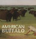 George Catlins American Buffalo