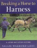 Breaking the Horse to Harness: A Step-By-Step Guide