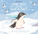 One Day in the Antarctic