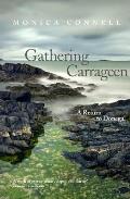Gathering Carrageen