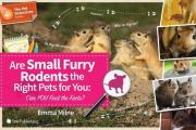 Are Small Furry Rodents the Right Pet for You: Can You Find the Facts?