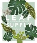 Leaf Supply A Guide to Keeping Happy House Plants
