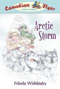 Canadian Flyer Adventures #16: Arctic Storm