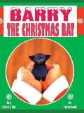 Barry the Christmas Bat