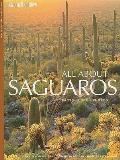 All about Saguaros Facts Lore Photos