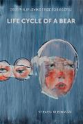 Life Cycle of a Bear