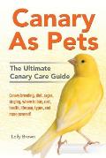 Canary As Pets: Canary breeding, diet, cages, singing, where to buy, cost, health, lifespan, types, and more covered! The Ultimate Can
