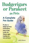 Budgerigars or Parakeet as Pets: Parakeet or Budgerigar Facts & Information, where to buy, health, diet, lifespan, types, breeding, fun facts and more