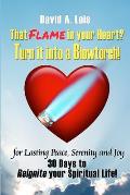 That Flame In Your Heart? Turn it Into a Blowtorch!: 30 Days to Reignite Your Spiritual Life!