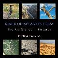 River of My Ancestors: The Rio Grande in Pictures