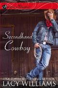 Secondhand Cowboy