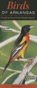 Birds of Arkansas: A Guide to Common and Notable Species