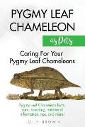 Pygmy Leaf Chameleons as Pets: Pygmy Leaf facts, care, breeding, nutritional information, tips, and more! Caring For Your Pygmy Leaf Chameleons