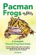 Pacman Frogs as Pets: Pacman Frog breeding, where to buy, types, care, temperament, cost, health, handling, diet, and much more included! A