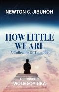 How Little We Are: A Collection of Thoughts