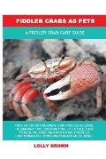 Fiddler Crabs as Pets: A Fiddler Crab Care Guide