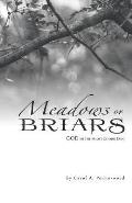 Meadows or Briars: God in the Midst of Our Pain
