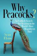 Why Peacocks An Unlikely Search for Meaning in the Worlds Most Magnificent Bird
