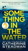 Something in the Water a Novel
