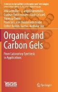 Organic and Carbon Gels: From Laboratory Synthesis to Applications