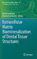 Extracellular Matrix Biomineralization of Dental Tissue Structures