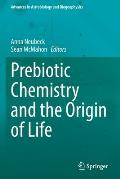 Prebiotic Chemistry and the Origin of Life