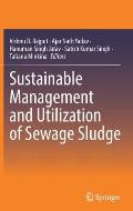 Sustainable Management and Utilization of Sewage Sludge