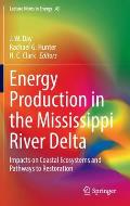 Energy Production in the Mississippi River Delta: Impacts on Coastal Ecosystems and Pathways to Restoration