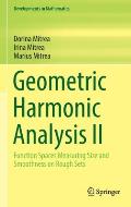 Geometric Harmonic Analysis II: Function Spaces Measuring Size and Smoothness on Rough Sets