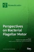 Perspectives on Bacterial Flagellar Motor