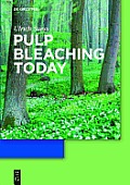 Pulp Bleaching Today