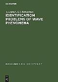 Identification Problems of Wave Phenomena: Theory and Numerics