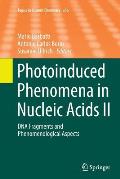 Photoinduced Phenomena in Nucleic Acids II: DNA Fragments and Phenomenological Aspects