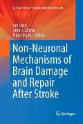 Non-Neuronal Mechanisms of Brain Damage and Repair After Stroke