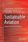 Sustainable Aviation: Energy and Environmental Issues