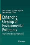 Enhancing Cleanup of Environmental Pollutants: Volume 2: Non-Biological Approaches