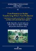 From Potentials to Reality: Transforming Africa's Food Production: Investment and Policy Priorities for Sufficient, Nutritious and Sustainable Food Su