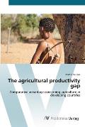 The agricultural productivity gap