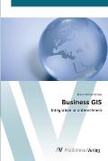 Business GIS