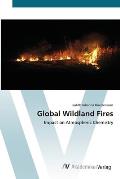 Global Wildland Fires