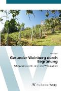 Gesunder Weinberg durch Begr?nung
