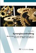 Synergiecontrolling